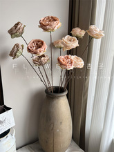 10��ɫ3�^�W˹͡���滨��c�ٻ���픻�ˇ��ɳ�ۻ�ˇ��ɫ�軨õ��