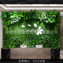 ����ѩ��04������ֲ�1ƽ���|�����w����Gֲ���bGɫ�쾰