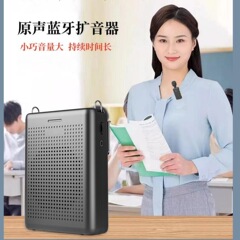 国境を越えたワイヤレスビーアンプ Bluetooth 教師講義 ガイド オフサイト活動 大音量ノイズリダクション サイレンサー