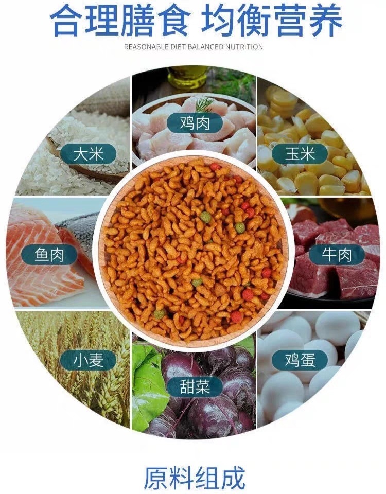 74b7c101-c66b-4d19-9a01-8281fdaf5afa.jpe