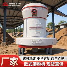 厂家直供款磨粉机大型工业矿石磨粉机细制粉设备立式雷蒙磨