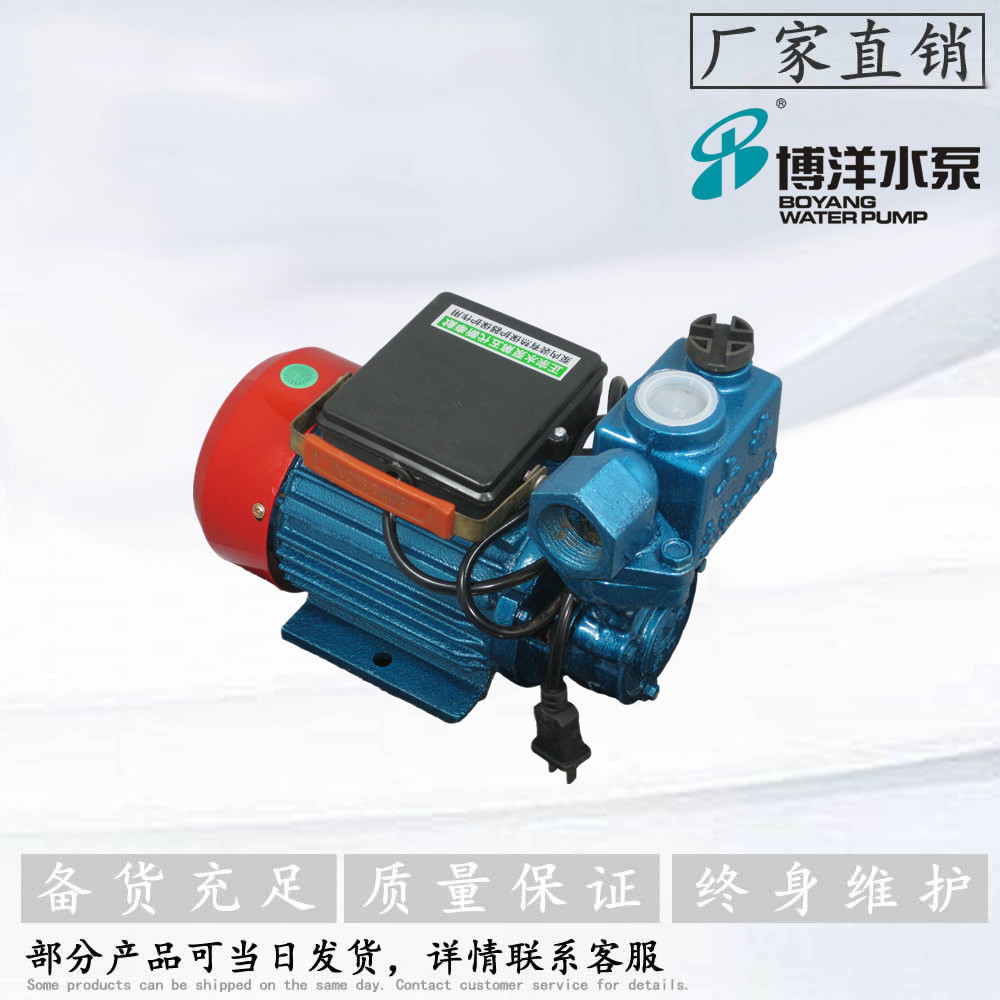 上海博洋水泵厂DBZ微型泵  家用小型增压泵 自吸增压泵