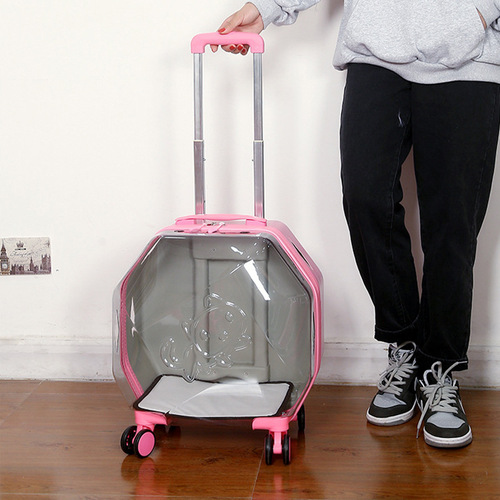 [Strictly Selected Cat Bags] Panoramic Transparent Pet Trolley Case, Cross-Border Cat Suitcase Dropshipping, Dog Airline Case