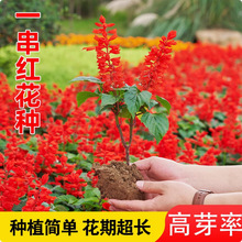 ���ڰ����t�N���ļ����N�_���׷N�̨ͥԺһ���t���^�G�����ԷN��