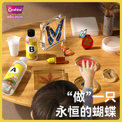 onshine real plant insect specimens resin bugs amber butterflies making children's observation science toys