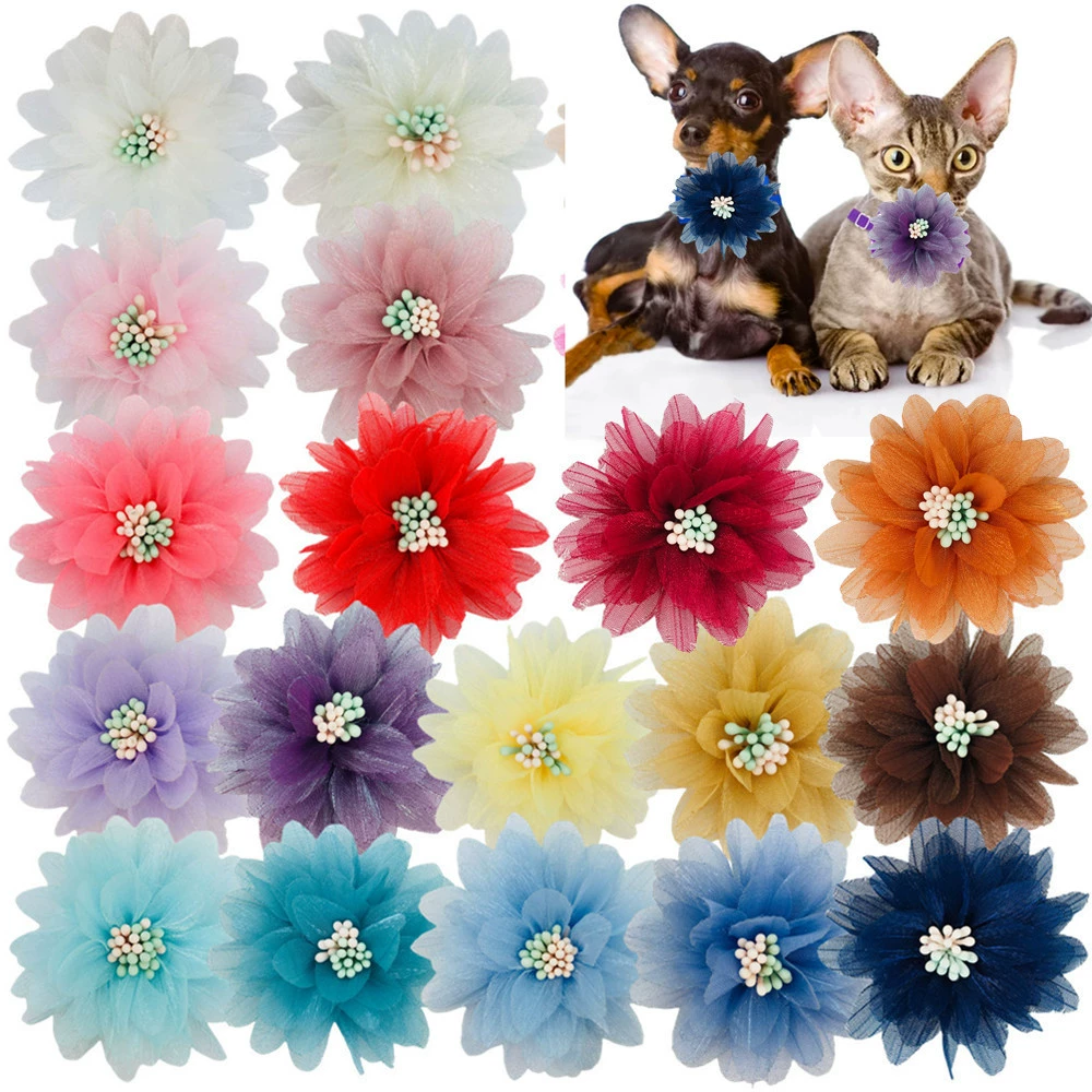 Амазонка продает 6cm яркая марля ошейник цветы кошки собаки домашние животные цветы воротник украшения для домашних животных вечеринки украшения