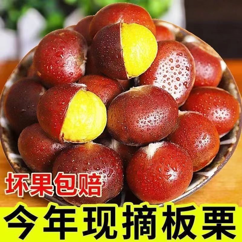 선택: 큰 알갱이 1.0kg개 [45-50알/진] - 정통 Qianxi 기름밤 [백년 된 나무]