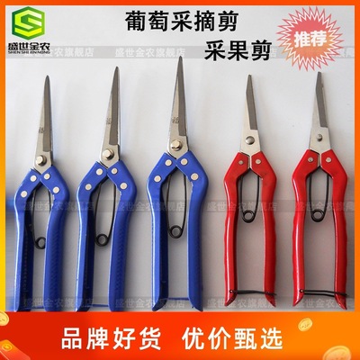 超值水果剪刀摘果剪 葡萄剪稀果剪园艺剪枝剪 蔬菜采摘剪园林工具