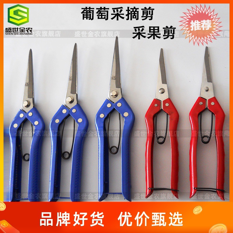 超值水果剪刀摘果剪 葡萄剪稀果剪园艺剪枝剪 蔬菜采摘剪园林工具