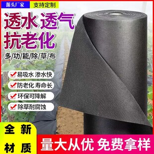 PP��ɫ�o�������ַ����ÿ��ϻ�͸��͸ˮ�r�I�������@ˇ�ز����ݲ�