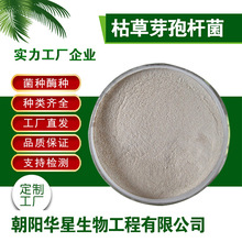 枯草芽孢杆菌1000亿2000亿全水溶净水改底用农业种植畜牧专用活菌