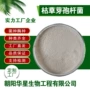 水溶畜牧净水农业活菌