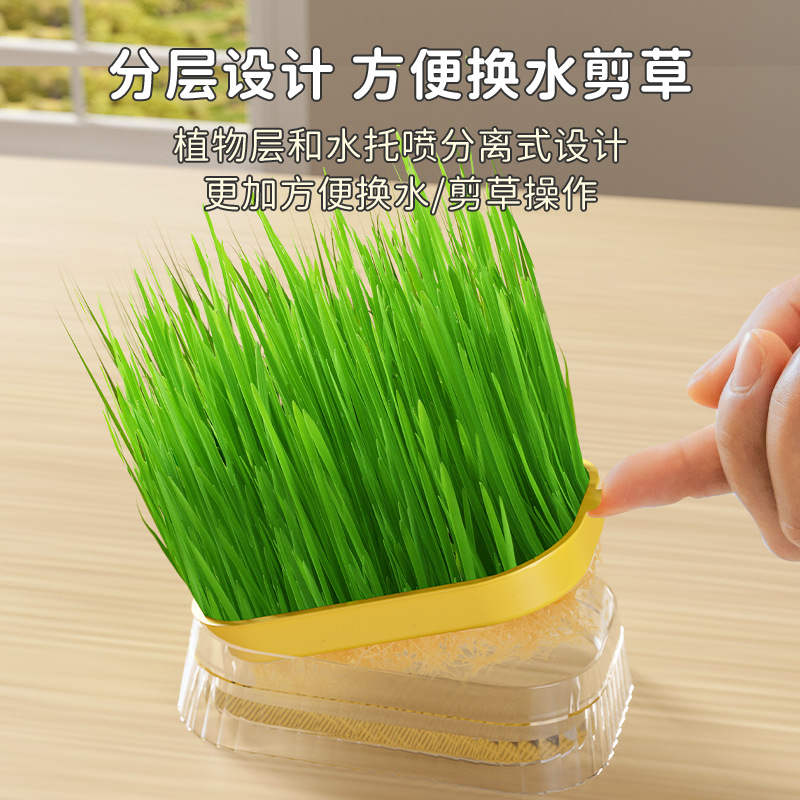 Cat grass hidroponía cat grass semilla set de plantación cat crema de pelo de eliminación de pelo bolas cat grass semilla cat snack cat menta