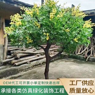 �����¿�𻨘������҃ȼ٘��bƵ�W�t�����쾰��ؔ[��