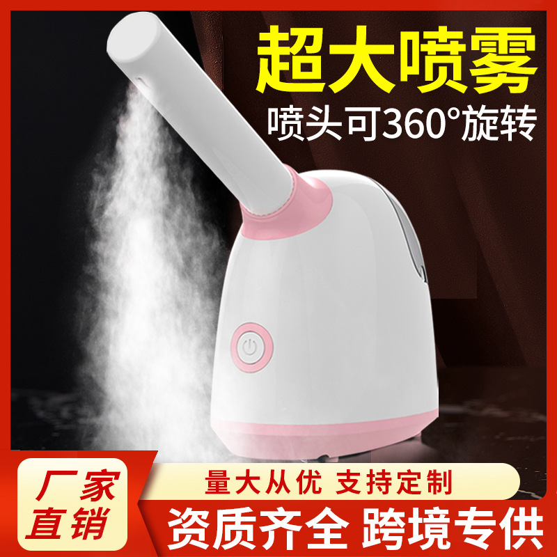 Facial steamer hot and cold dual spray beauty salon aromatherapy essential oil fruit and vegetable facial humidification sprayer home beauty hydration device