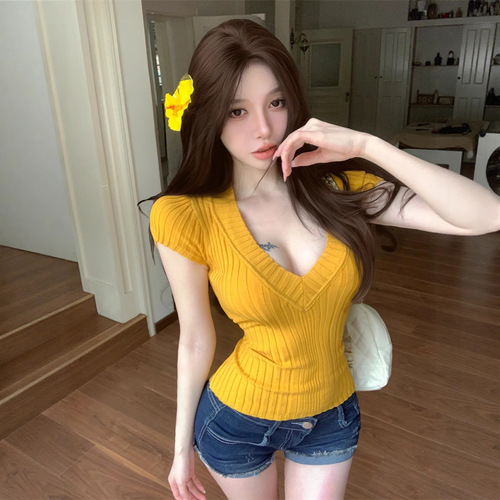 Old Money Deep V-Neck Pit Crew High-Elastic Knit Ice-Felt Fitted Short-Sleeve T-Shirt for Women - Summer Fitted Tunic Top