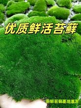 Ұ���r�����\̦�\΢���^��̦��ɽ�辰������Դ�G�ֹ�diy