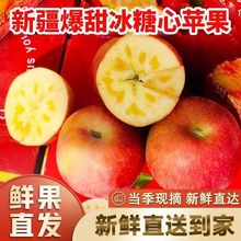 新品上市最新现货2025年阿克苏冰糖心苹果新疆正品现摘应当季新鲜