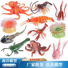 跨境仿真海洋动物模型鹦鹉螺头甲鱼小龙虾海葵八爪鱼小鱿鱼板足鲎
