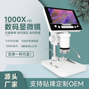 2026 summer must-have: multifunctional integrated magnifier (with light, stand, and ruler)