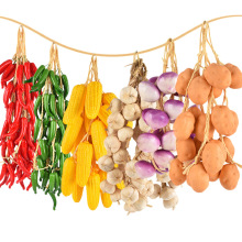 �S�����l�������׼t�������⴮�r��ͥԺ�߲˴��r�����r�Ҙ��b�Ʒ