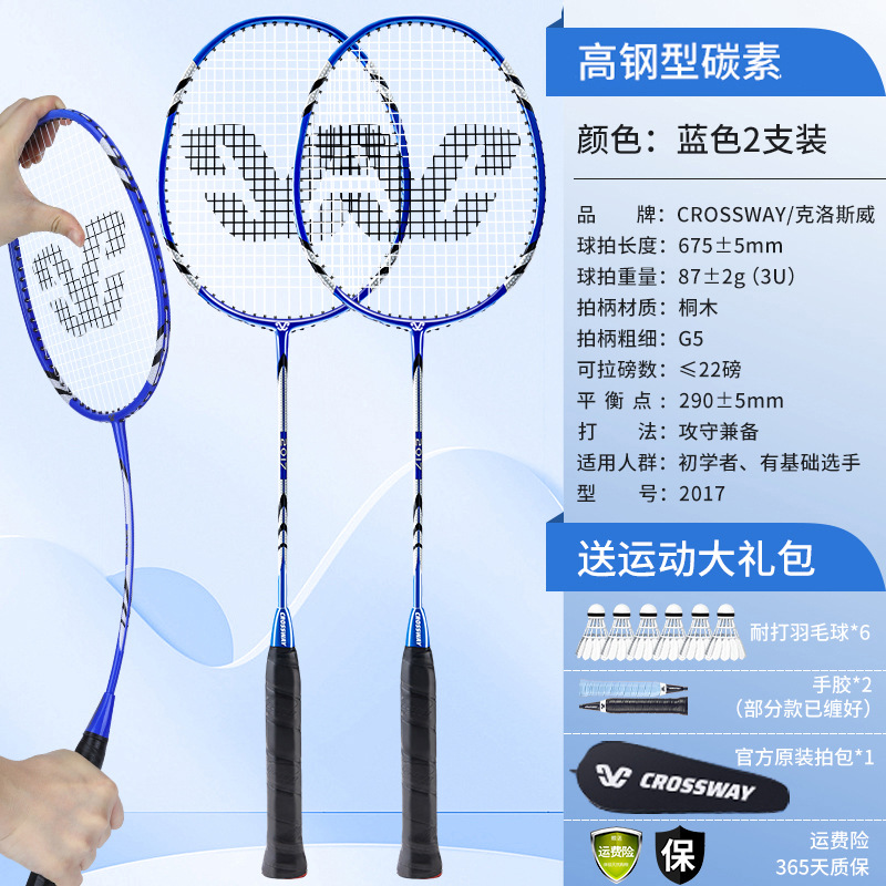 메인 사진 고급형 모델 [하이스틸 탄소 더블샷] 블루 - 무료 배드민턴 6개, 핸드글루 2개, 오리지널 라켓백 - 완성샷