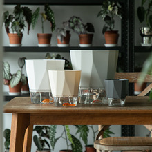 �Ԅ���ˮ�����ͥ�@ˇ��ˮ��Nֲ��G�}���mˮ���̖���ϻ���