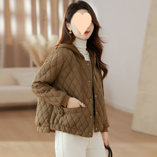 Lightweight Cotton Puffer Jacket for Women 2025 Winter New Korean Style Loose Plus Size Hooded Cotton Coat Outerwear for Women