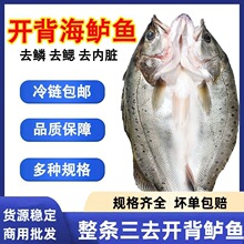 开背海鲈鱼新鲜鲜活冷冻深海鲈鱼海鱼卢鱼海鲜水产烤鱼半成品商用