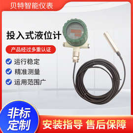 厂家直供投入式液位传感器水位器液位变送器4~20mA