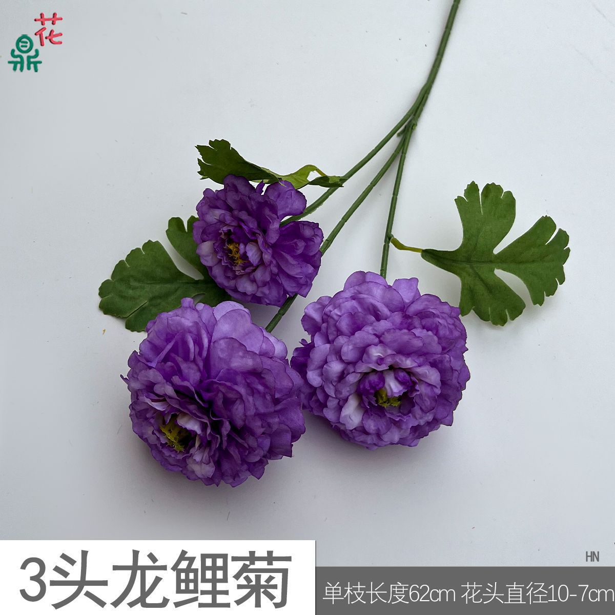 용동국화 3개 HN 진한 보라색
