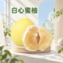 福建漳州新鲜礼盒蜜柚