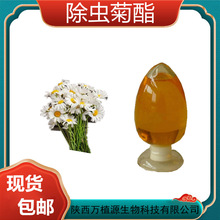 ���x����25% ���x�շ� ���x���� �M���x���� �fֲԴ�F؛���S