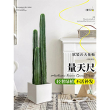 ������������Gֲ�����������҃ȿ͏d�k������ش��Ͷ���ֲ����B