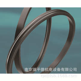 英国 James Walker 石油和天然气应用的弹性体 Springsele密封件