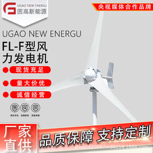 固高新能源小型FL-F型风力发电设备 厂家直供  品质可靠 售后无忧