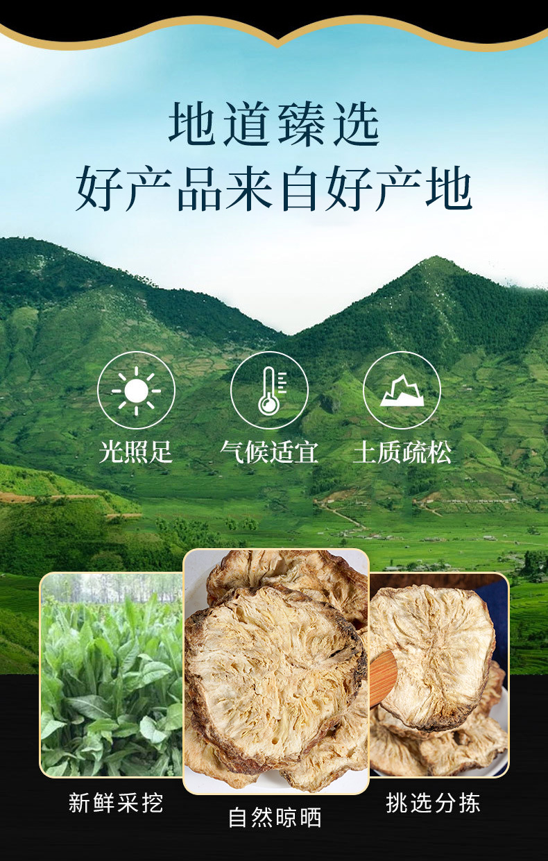 Chicory Root Powder (Cichorium intybus) — Dried Food-Herb Jù Jù Gēn for Tea & Daily Wellness overview