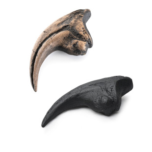 Simulated Velociraptor Toes, Dinosaur Front Paws, Hand Claw Fossils, Resin Replicas