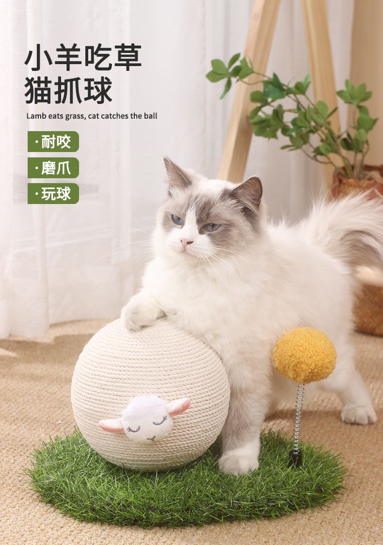 猫抓球_01.jpg