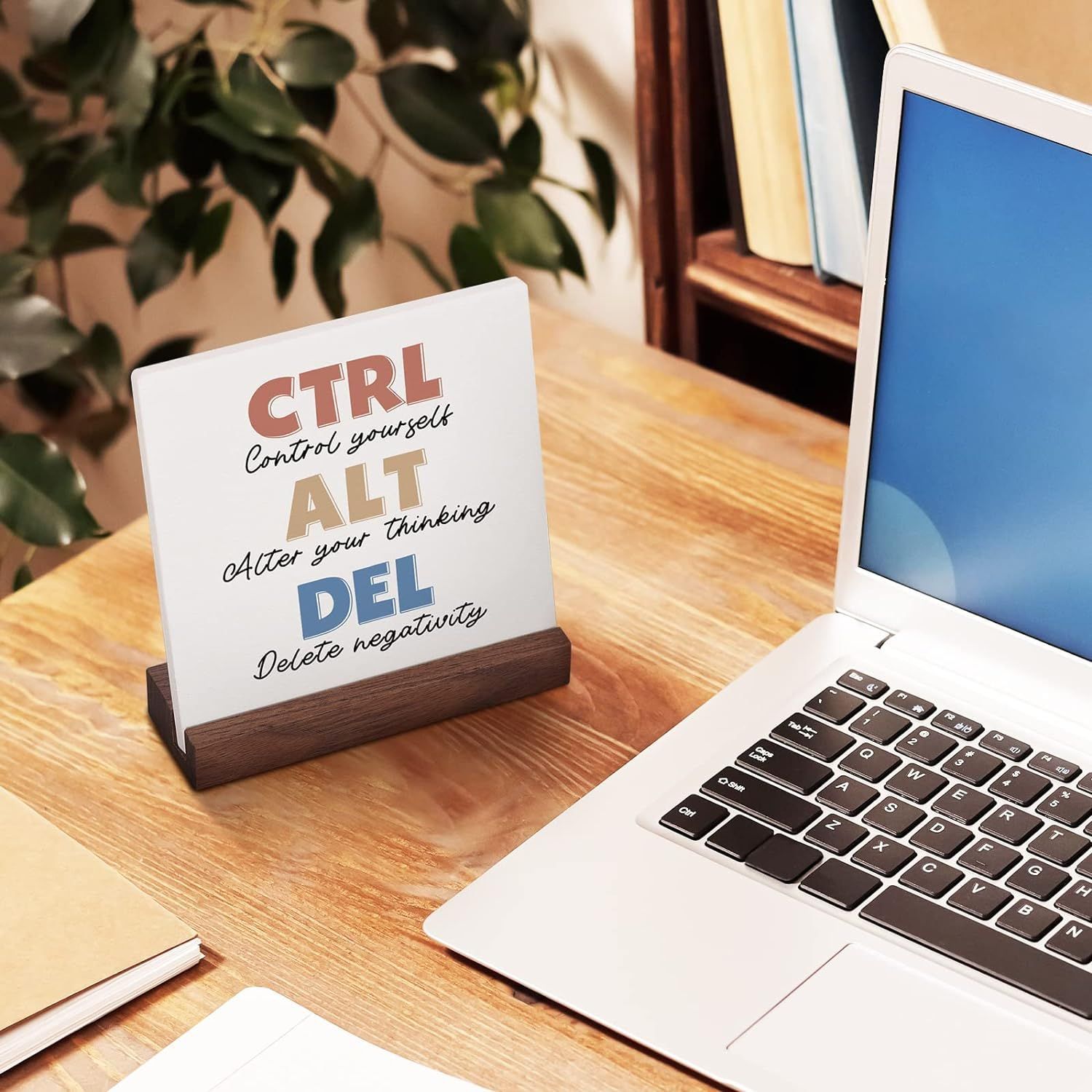 TEMU Amazon maitong acrílico base de madera maciza doble ranura decoración del hogar