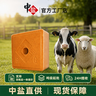 ���}ţ����u�V���|������ӄ��߷��}�K5kg�����}