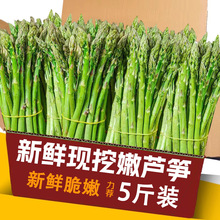 头茬青芦笋苞芽5斤新鲜青菜嫩笋尖蔬菜白绿笋小青笋牛排当季