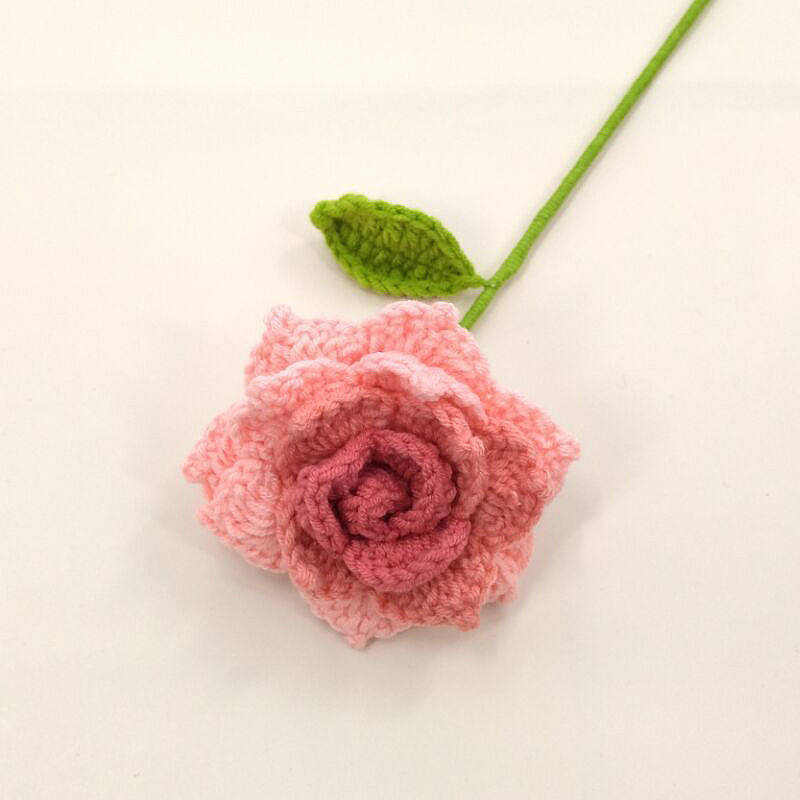 Producto terminado-gradiente de Rosa puntiaguda sandía roja