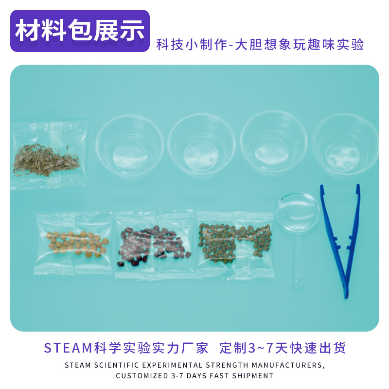 Tecnología pequeña producción semilla germinación Tecnología pequeña producción niños alumnos de Primaria ciencia y educación experimental juguetes interesantes materiales educativos