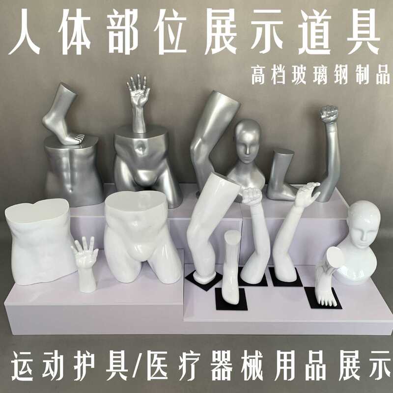 Human Prosthetic Limb Display Props, Knee Pads, Leg Molds, Wrist Guards, Hand Molds, Head Molds, Foot Molds, Sports Protective Gear Display Human Prosthetic Limb Display Props, Knee Pads, Leg Molds, Wrist Guards, Hand Molds, Head Molds, Foot Molds, Sports Protective Gear Display