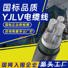 ����YJLV�Xо��|��3/4/5о10/16/25ƽ�������ľ��Դ������늾�