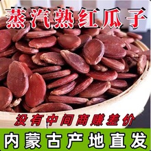 其他葵花子直销生红原味包装大粒广西特产产地瓜子红瓜子结婚农家