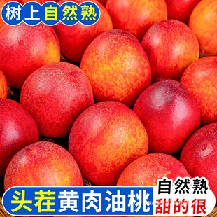 �S������5������������rˮ������ˮ����������]�ЋD�۴���10