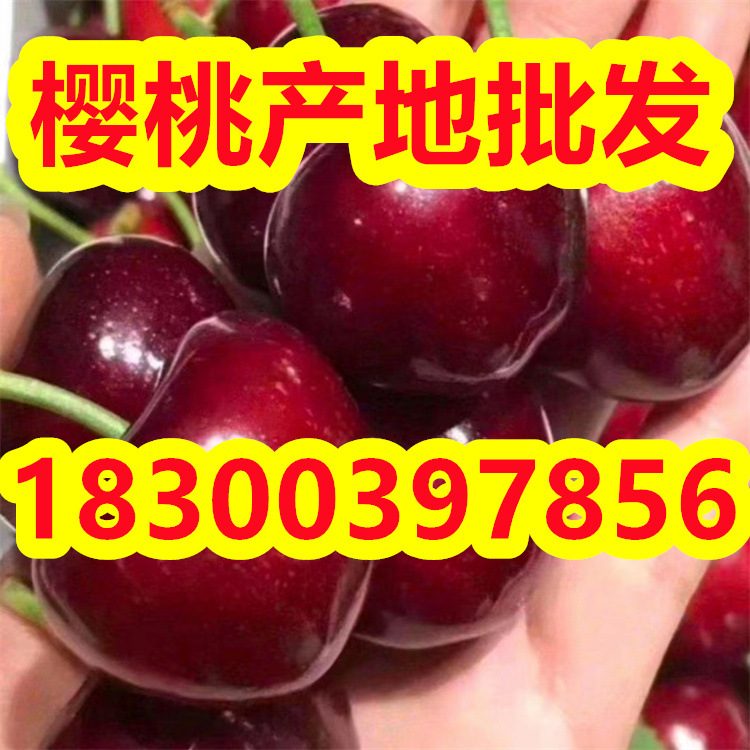 3d64ba36a8b9176609b5bfe50aae47