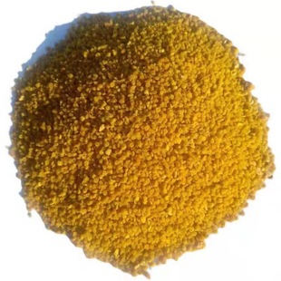 ���� �S�ҹ������N��Z���� ���׻��� �������� �w���������l